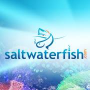 Saltwaterfish.com