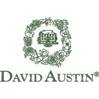 David Austin Roses