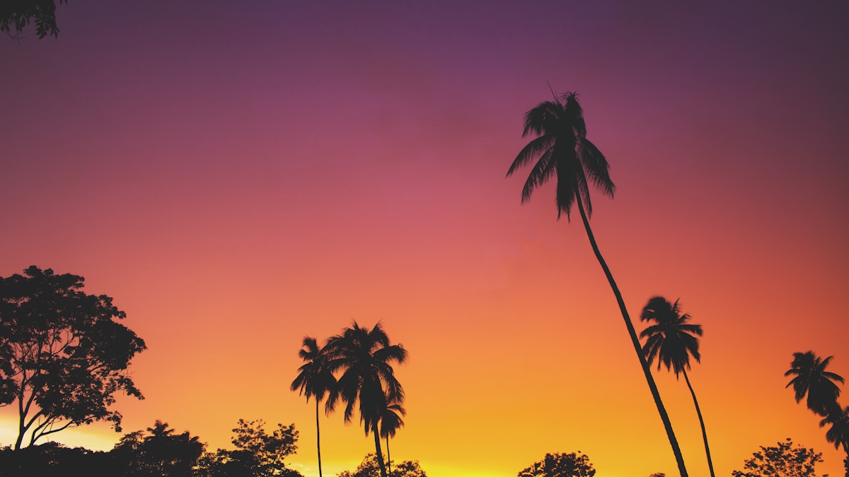 Best military discounts 2026 for active duty veterans and military families shopping